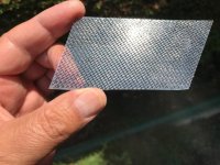 IMG_5493 Grande.jpeg