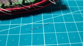 20210406_122939-compressed.jpg 20210406_122939-compressed.jpg