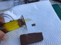 IMG_5604 Grande.jpeg