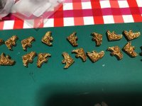 IMG_5651 Grande.jpeg