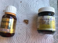 IMG_5654 Grande.jpeg