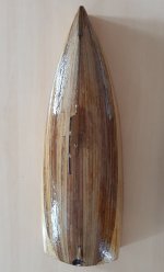 Sellado del eje 2.jpg