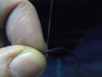 P1010899 [1280x768].JPG