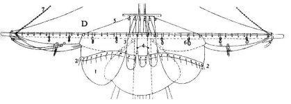 Cargando los puños a la cruz.jpg
