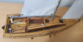 Detalle del foque.jpg