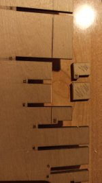 WhatsApp Image 2023-01-22 at 13.16.31.jpeg