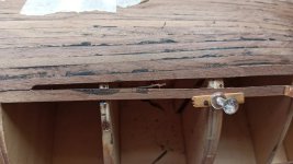 WhatsApp Image 2023-02-22 at 12.38.50 (2).jpeg