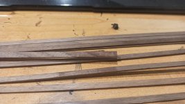 WhatsApp Image 2023-02-26 at 20.15.01.jpeg