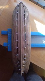 WhatsApp Image 2023-02-27 at 11.49.43.jpeg