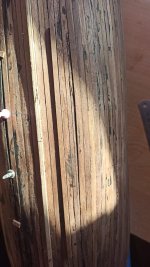 WhatsApp Image 2023-02-27 at 18.00.55 (1).jpeg