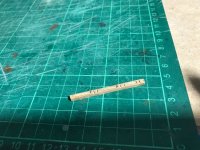 IMG_9296 Grande.jpeg