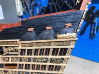 IMG_9558 Grande.jpeg