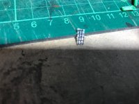 IMG_9559 Grande.jpeg