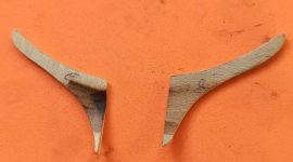 Imagen de WhatsApp 2023-12-03 a las 12.56.31_018412dd_resize.jpg