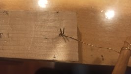 Imagen de WhatsApp 2023-12-03 a las 12.56.26_dda8a395.jpg