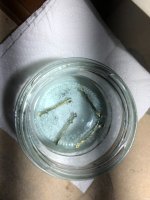 IMG_0669 Grande.jpeg