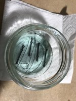 IMG_0673 Grande.jpeg