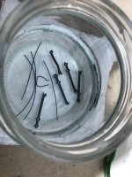 IMG_0674 Grande.jpeg