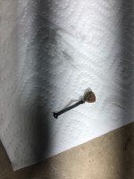 IMG_0675 Grande.jpeg