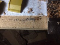 IMG_8675.JPG IMG_8675.JPG