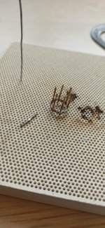 Imagen de WhatsApp 2024-03-11 a las 16.04.02_bf84d82e.jpg