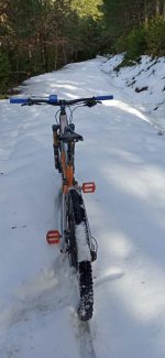 Imagen de WhatsApp 2024-03-12 a las 23.56.20_4ddf8144.jpg