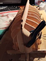 IMG_20240325_193808.jpg IMG_20240325_193808.jpg