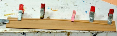 foro 03004.jpg foro 03004.jpg