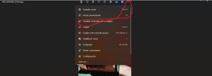 Captura de pantalla 2024-05-19 172620.png