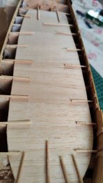 IMG_20240526_180527.jpg IMG_20240526_180527.jpg