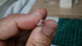 IMG_20240530_101138.jpg IMG_20240530_101138.jpg