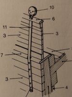 Cadenote Mondfeld.jpg