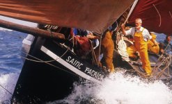 SaintPatrick1 (4).jpg