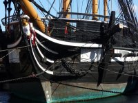 52631669458_4020e66827_b-3334249232.jpg 52631669458_4020e66827_b-3334249232.jpg