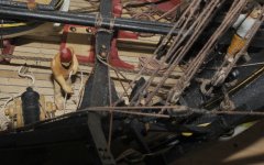 jabeque Leo_0185.JPG