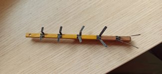 Imagen de WhatsApp 2024-09-22 a las 23.55.30_d35c4bf9.jpg