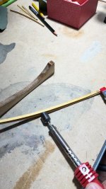 IMG_5064 Grande.jpeg