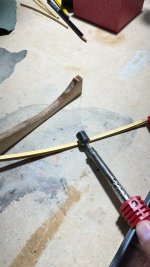 IMG_5065 Grande.jpeg