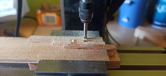 Imagen de WhatsApp 2024-10-10 a las 23.43.47_b8f3db40.jpg