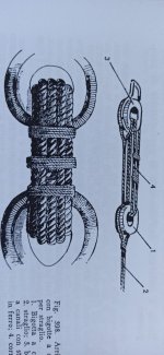 Imagen de WhatsApp 2024-10-11 a las 10.02.29_fc741711.jpg