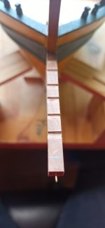 Imagen de WhatsApp 2024-10-16 a las 12.49.12_52396905.jpg