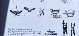 Imagen de WhatsApp 2024-10-30 a las 14.23.28_af6c2d44.jpg