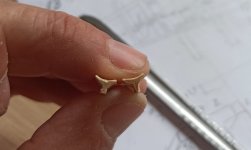 Imagen de WhatsApp 2024-10-30 a las 16.42.43_422777b3.jpg