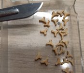 Imagen de WhatsApp 2024-10-30 a las 16.42.43_9502e9cf.jpg