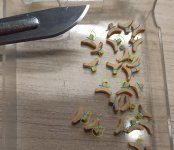 Imagen de WhatsApp 2024-10-30 a las 16.42.43_9502e9cf.jpg