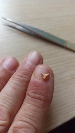 Imagen de WhatsApp 2024-11-06 a las 14.35.21_b67b9cfd.jpg