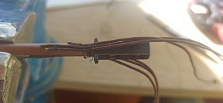 Imagen de WhatsApp 2024-11-14 a las 13.11.50_e7e631ce.jpg