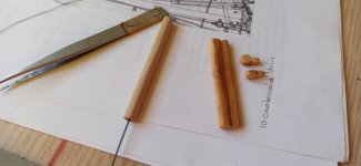 Imagen de WhatsApp 2024-11-14 a las 17.56.00_17d6de03.jpg