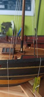 Imagen de WhatsApp 2024-11-20 a las 11.58.37_4a46e1a9.jpg