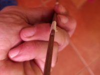 Imagen de WhatsApp 2024-12-05 a las 14.36.37_4ce495b8.jpg